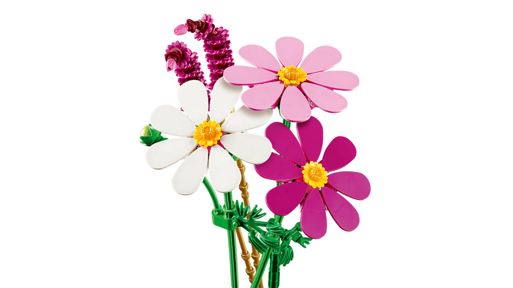 11514 Fiori di Cosmos