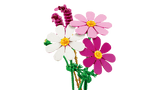 11514 Fiori di Cosmos