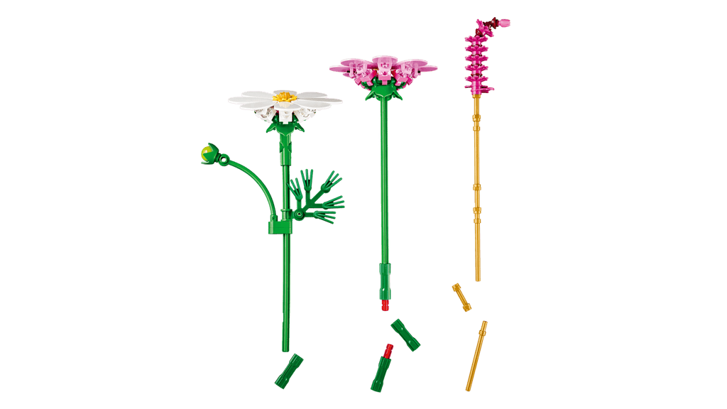 11514 Fiori di Cosmos