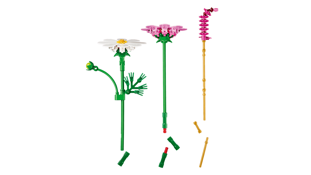 11514 Fiori di Cosmos