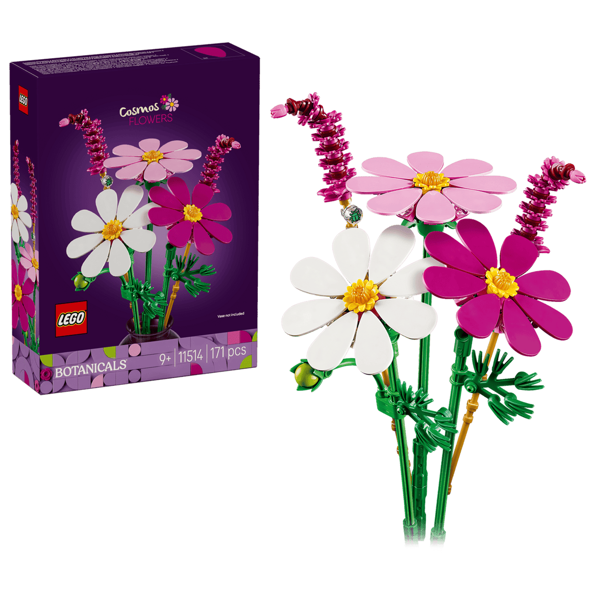 11514 Fiori di Cosmos