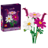 11514 Fiori di Cosmos
