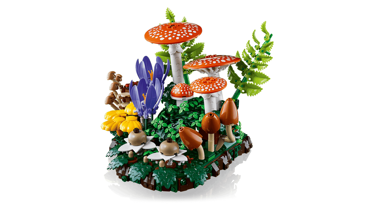 11505 Funghi del bosco