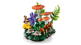 11505 Funghi del bosco