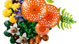 11505 Funghi del bosco