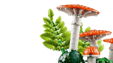11505 Funghi del bosco