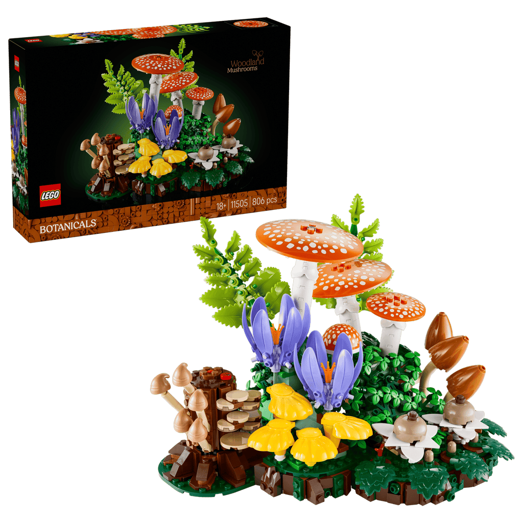 11505 Funghi del bosco