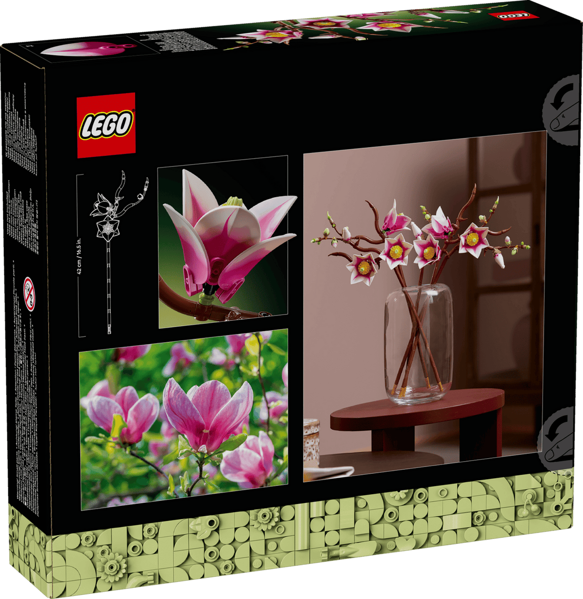 11510 Rametti di magnolia