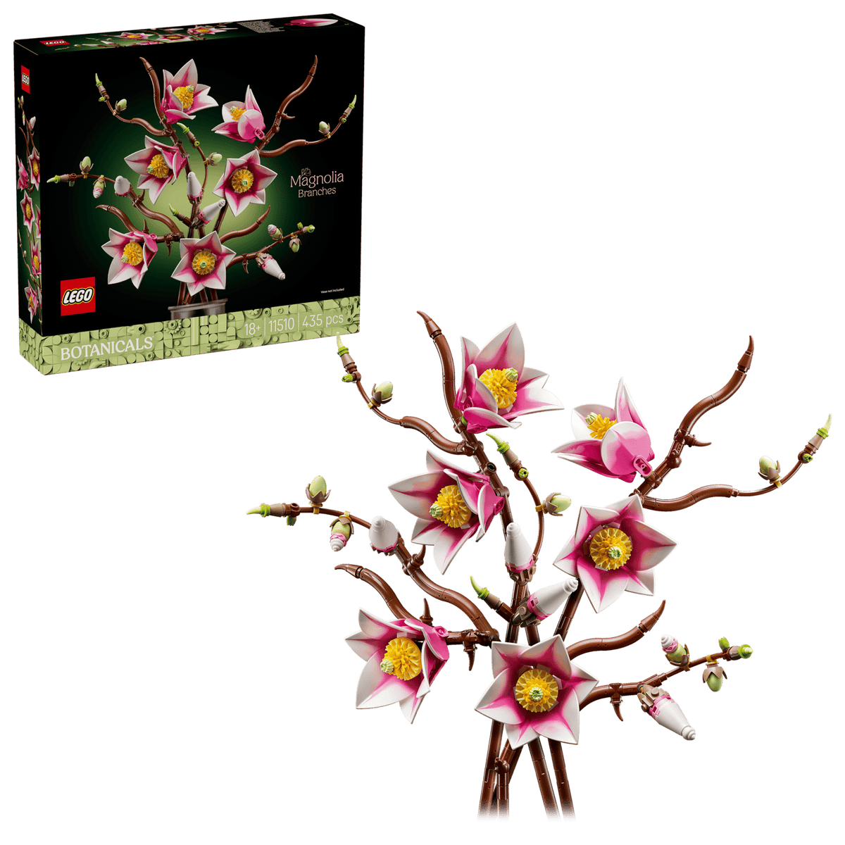 11510 Rametti di magnolia