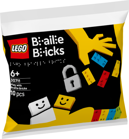 30711 Gioca con i mattoncini Braille