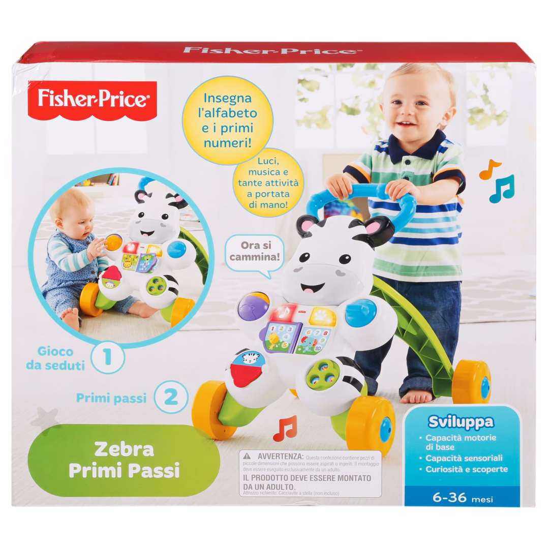 Zebra First Steps DLD91