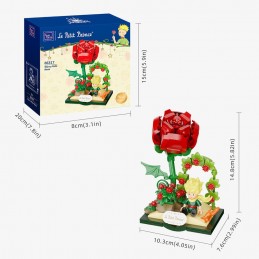 Speciale box Natale: Le Petit Prince
Starry Adventure