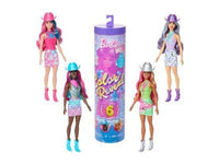Barbie - Color Reveal Country Chic JCP01