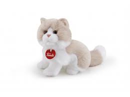 Gatto Giada S