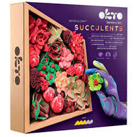 10011 Succulents Passion