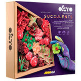 10011 Succulents Passion