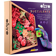 10011 Succulents Passion