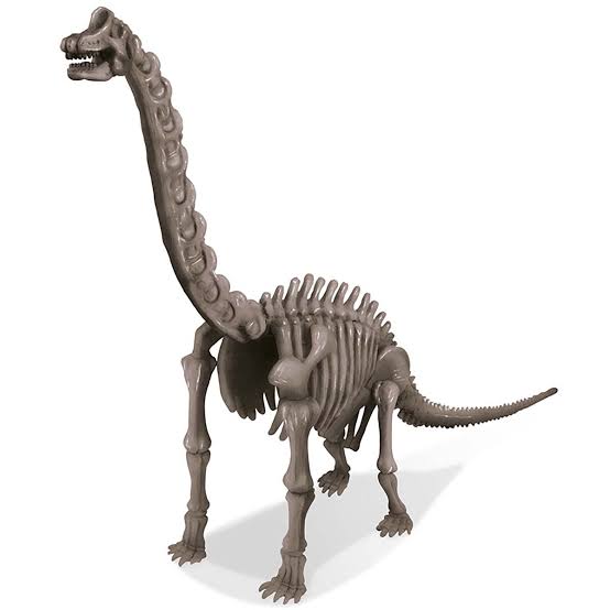 Scava e crea lo scheletro di un Brachiosauro