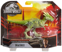 JW DRACOREX