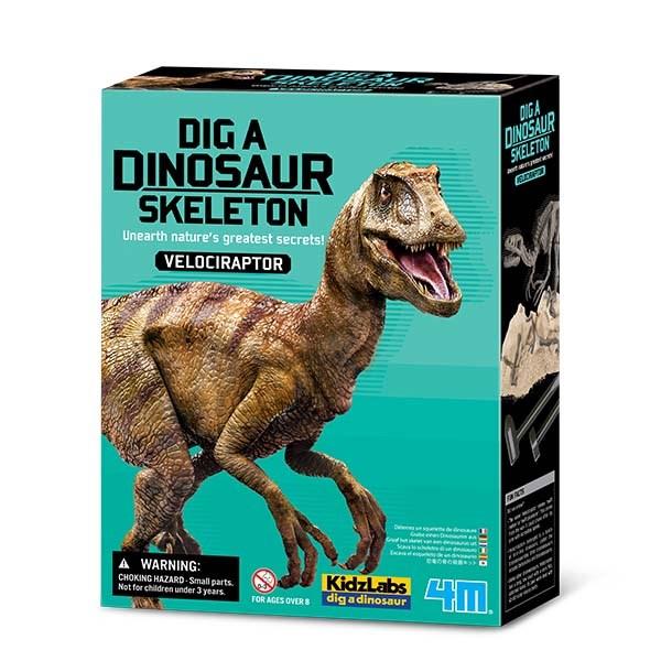 Scava e crea lo scheletro di un Velociraptor