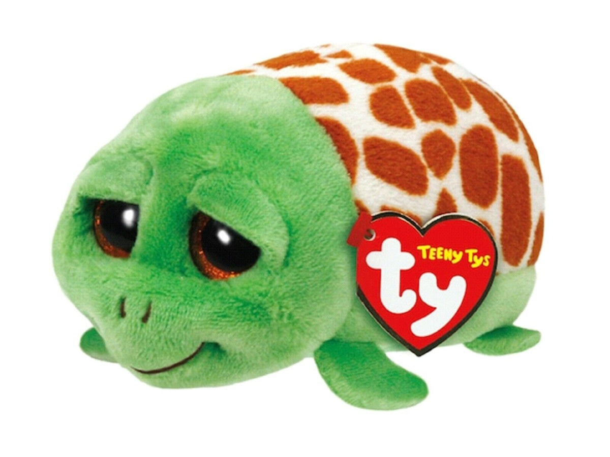 Cruiser the Turtle