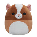 Squishmallows 20cm - Garret il Maialino della Guinea Bianco e Marrone