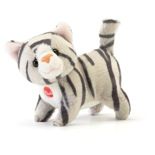 Sweet Collection Gattino Brad XXS