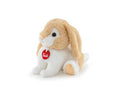 Puppy Rabbit S