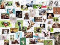 16711 Collage di Animali Divertenti - Puzzle 1.500 pezzi
