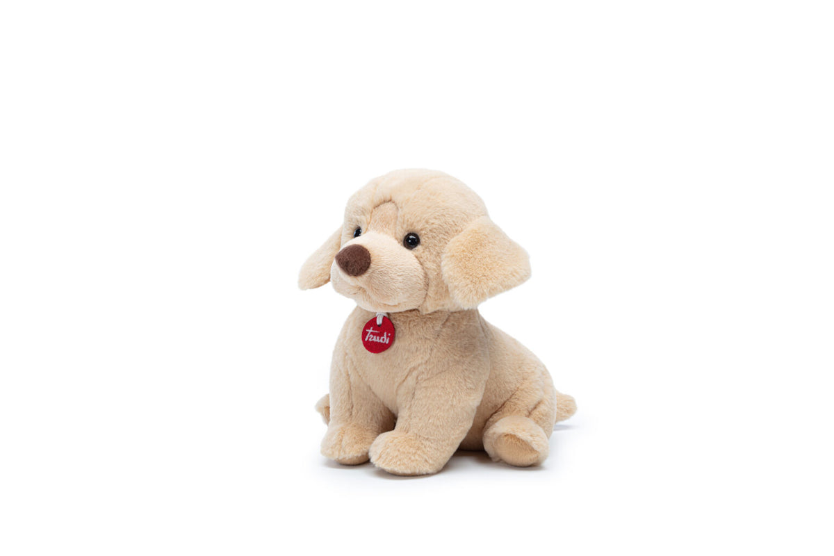 Puppy Cane S