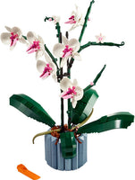 10311 Orchidea