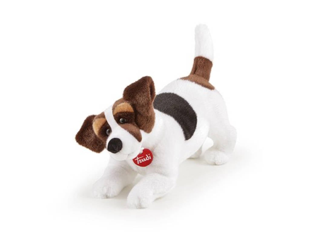 Jack Russel Jack M