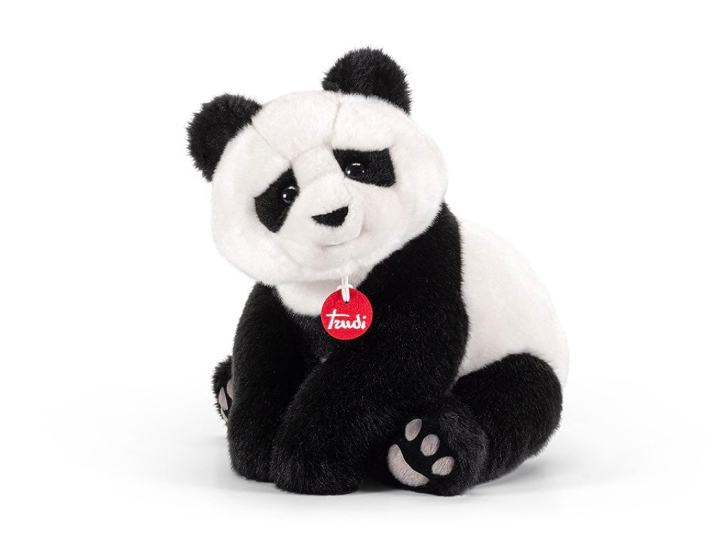 Panda Kevin M