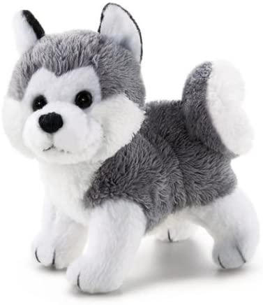 Sweet Collection Husky XXS