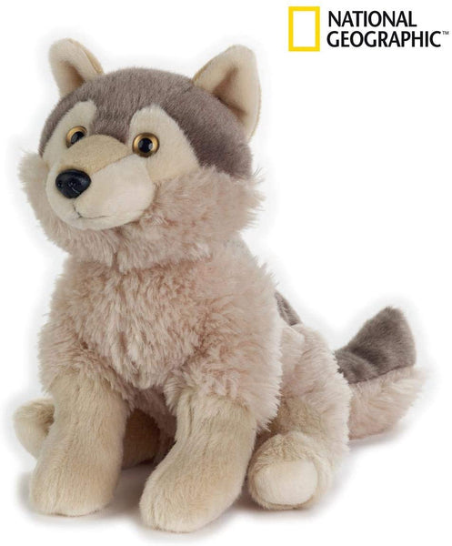 Lupo Grigio Nat Geo
