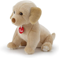 Labrador Liam