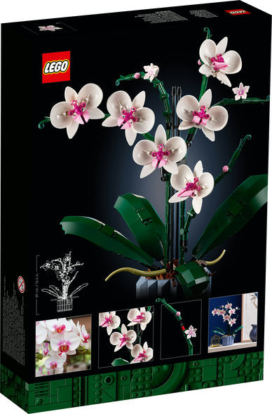 10311 Orchidea