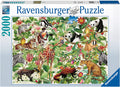 Puzzle 2,000 pieces cod. 16824 - Jungle