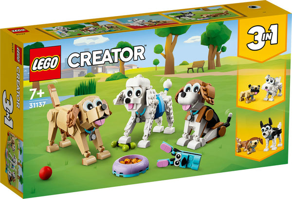 31137 Adorable Puppies