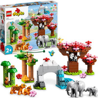 10974 Animali dell’Asia