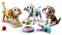31137 Adorable Puppies